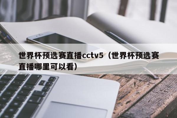 世界杯预选赛直播cctv5（世界杯预选赛直播哪里可以看）